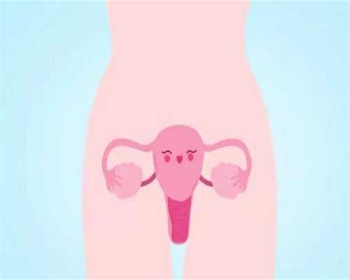 国内供卵借卵,如果在岳阳私立医院做试管大约在多少钱左右